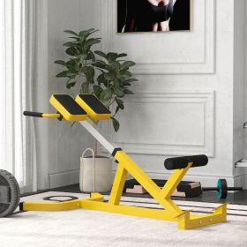 Roman Chair Back Extension Machine