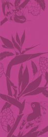 Birds of Paradise - Pink