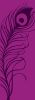 Peacock Feather - Purple
