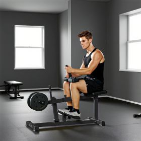 Adjustable Steel Seated Calf Raise Exercise Strength Training Gym Equipment (Color: Black)